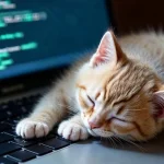 warum-katzen-auf-tastaturen-sitzen-ein-grund-wird-ihr-herz.webp.webp